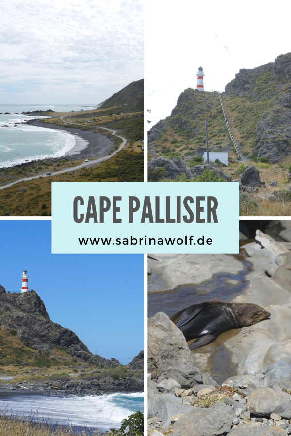 Cape Palliser - Tagesausflug von Wellington