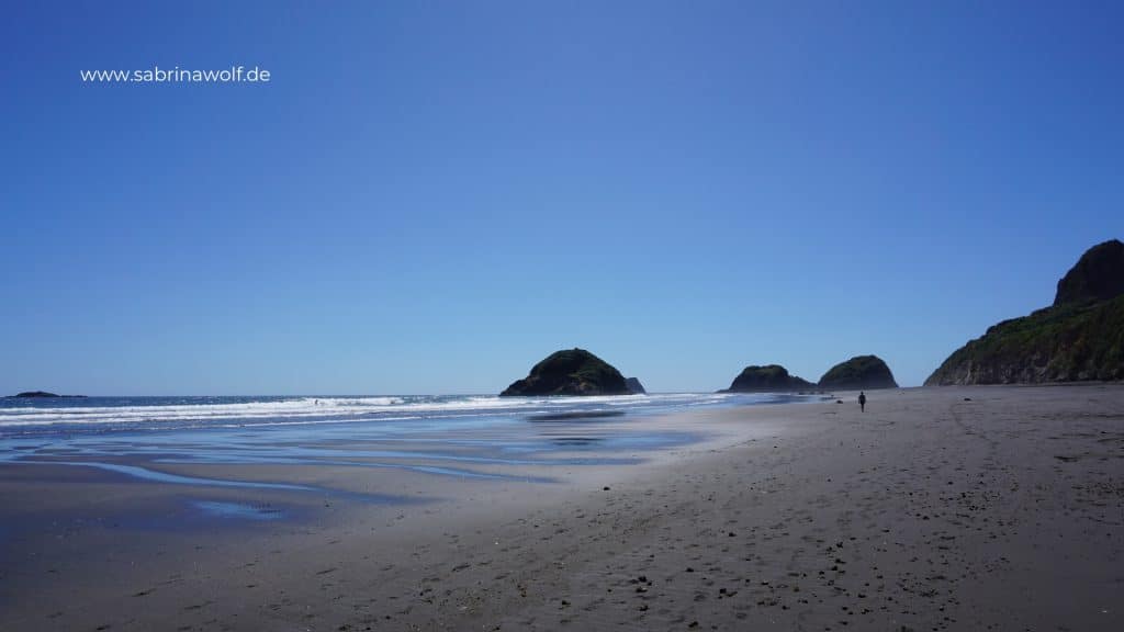 Black Beaches in New Plymouth - Nordinsel Neuseeland