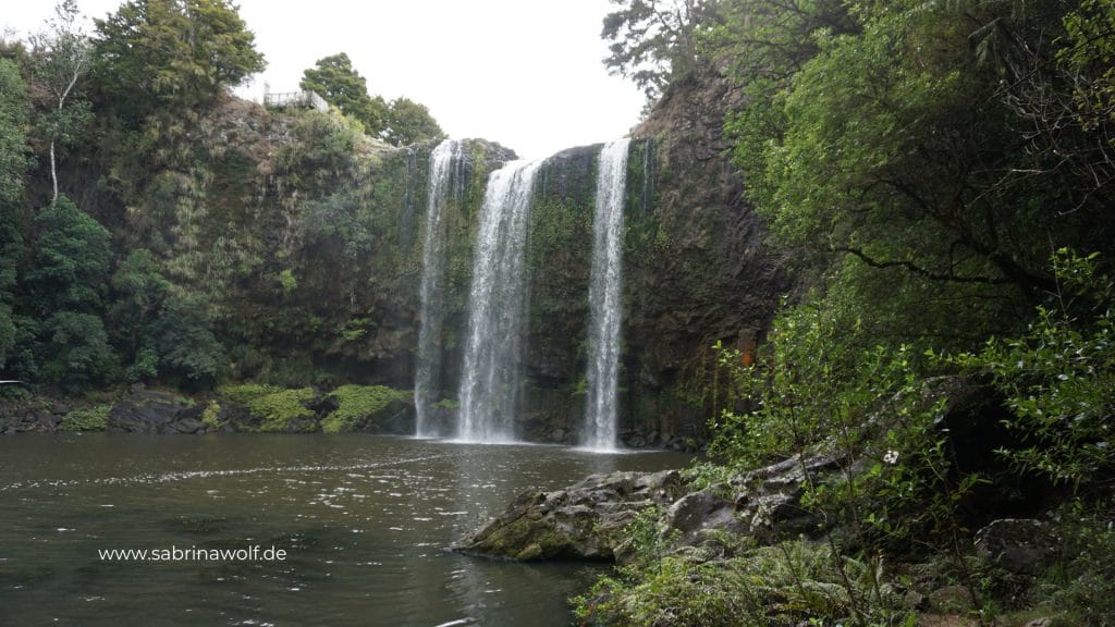Wasserfall Whangarei - Neuseeland Nordinsel 