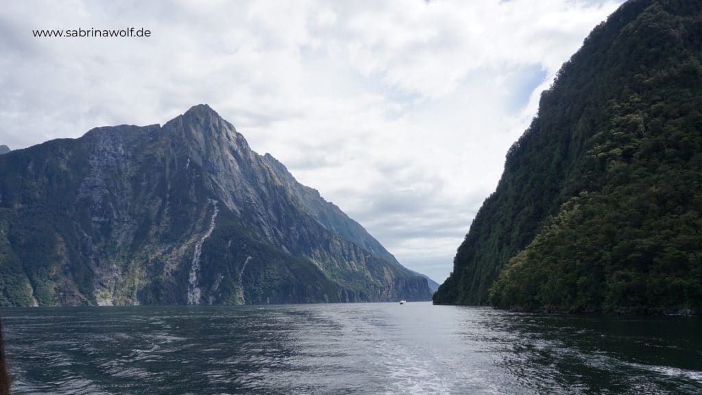 Milford Sound - meine Reise auf die Südinsel Neuseelands
