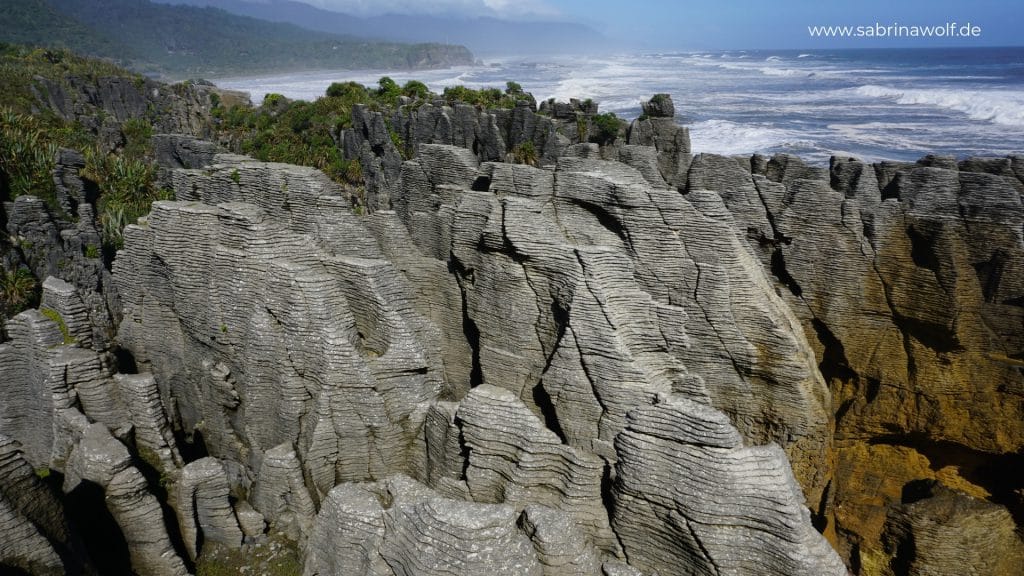 Pancake Rocks - meine Reise auf die Südinsel Neuseelands